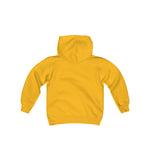 Match My Fly Boys Heavy Blend Hooded Pullover (Variety Colors)